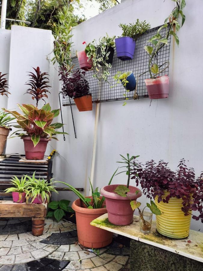 Joseys Homestay Kochi Exterior photo